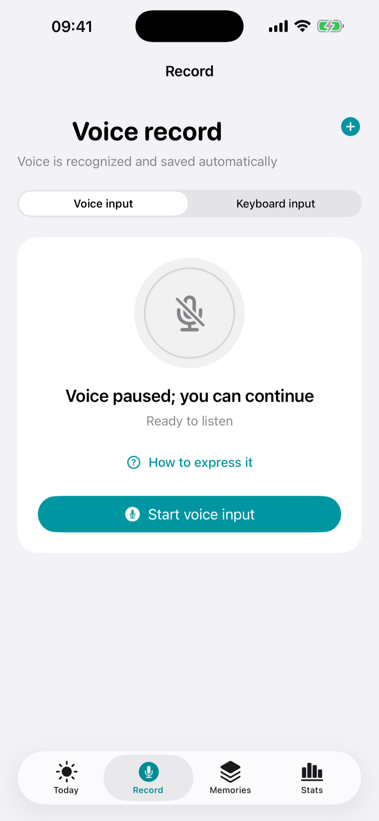 External Memory voice capture screen